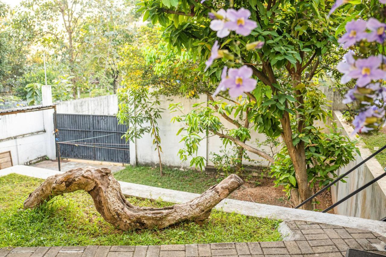 Battaramulla Boutique Villa سري جاياواردنيبورا كوتي المظهر الخارجي الصورة